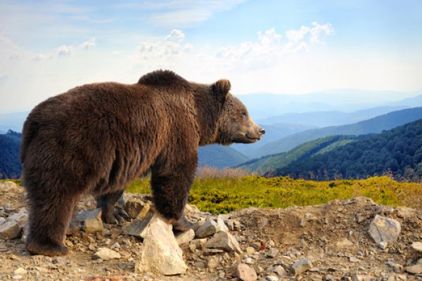 ours