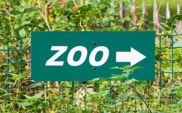 ZOO