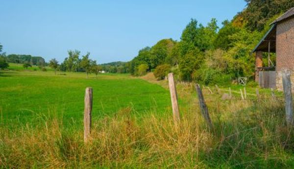 prairie