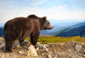 ours