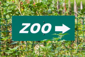 ZOO
